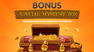 Bonus Special Mistery Box